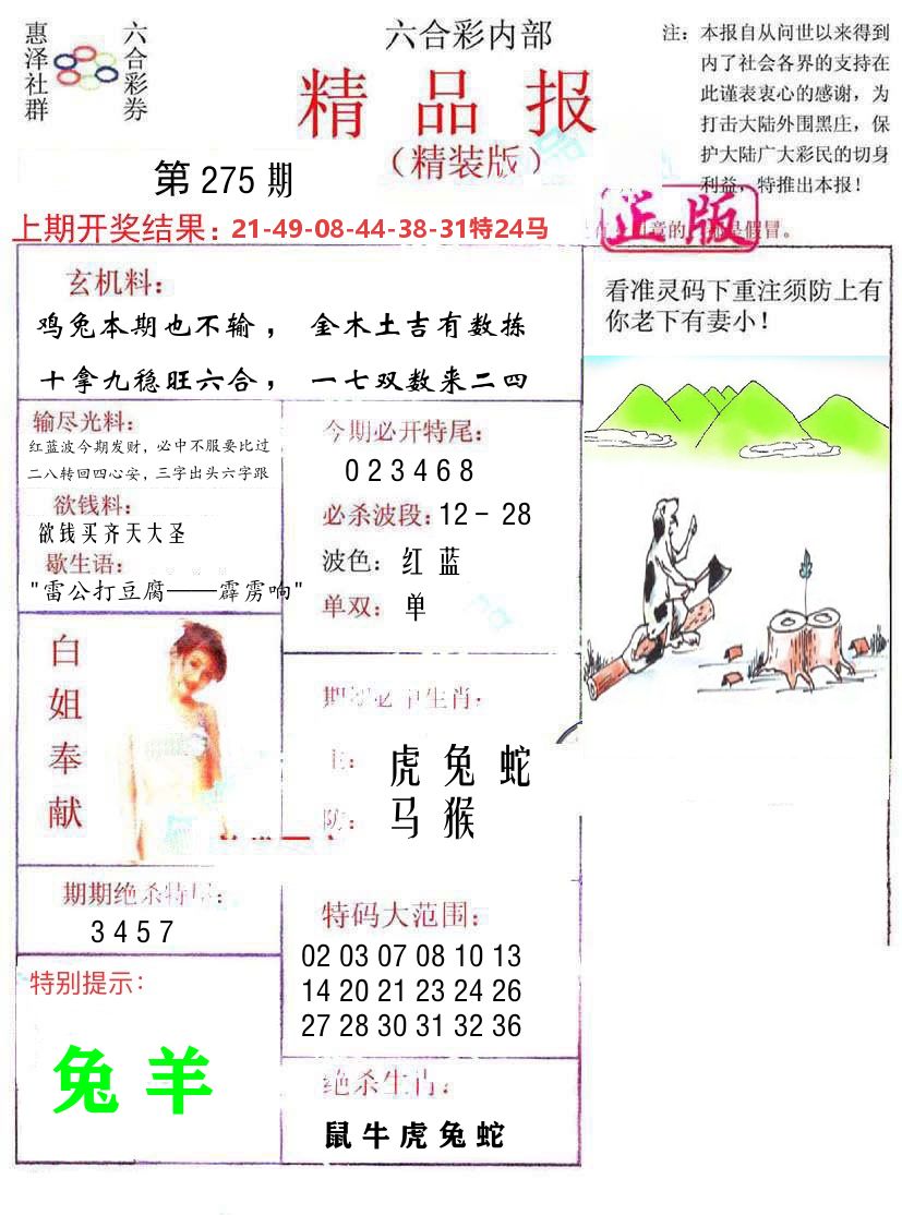 精品报 第275期