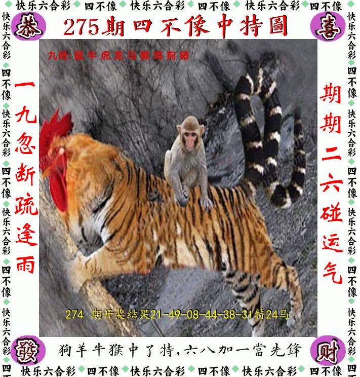 四不像 第275期