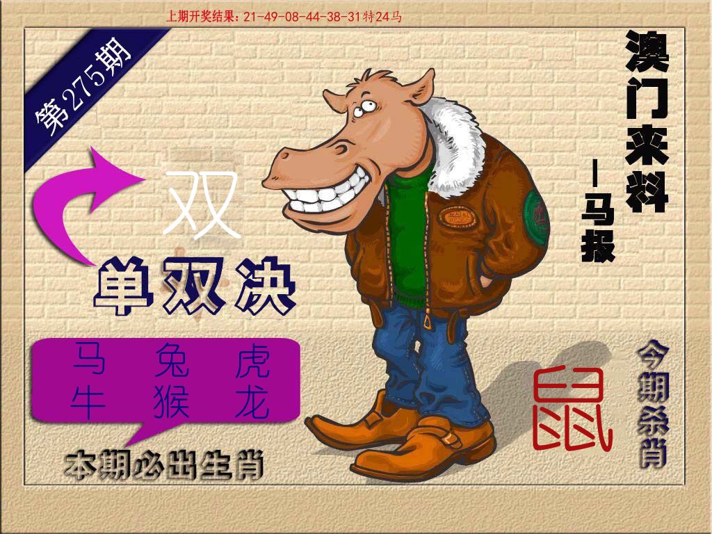 马报 第275期