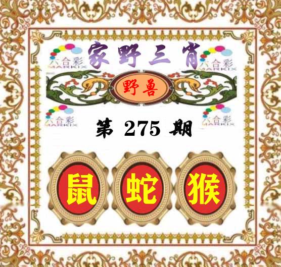 家野三肖 第275期