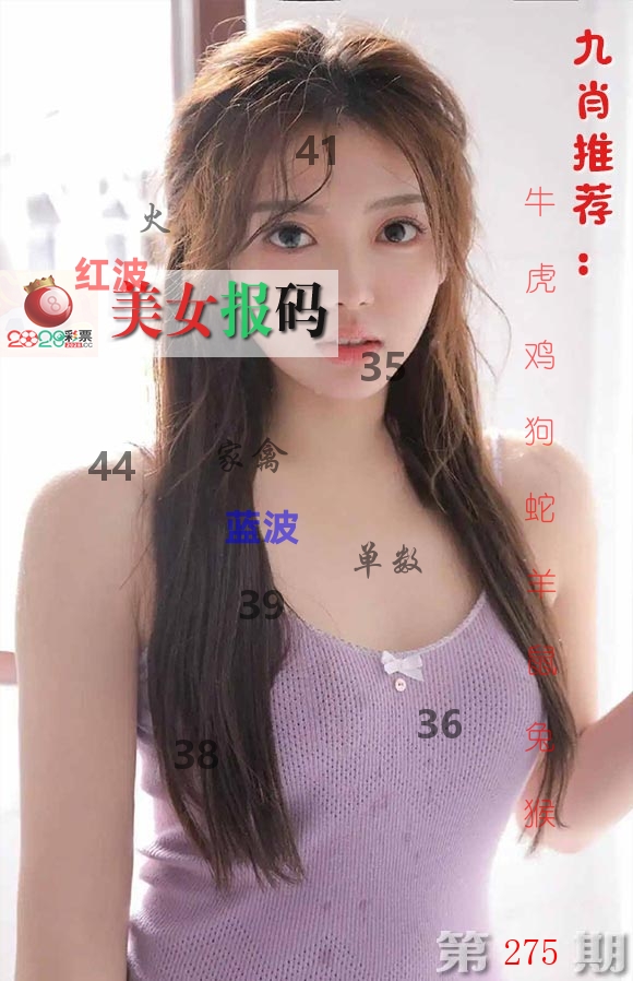 美女报码 第275期