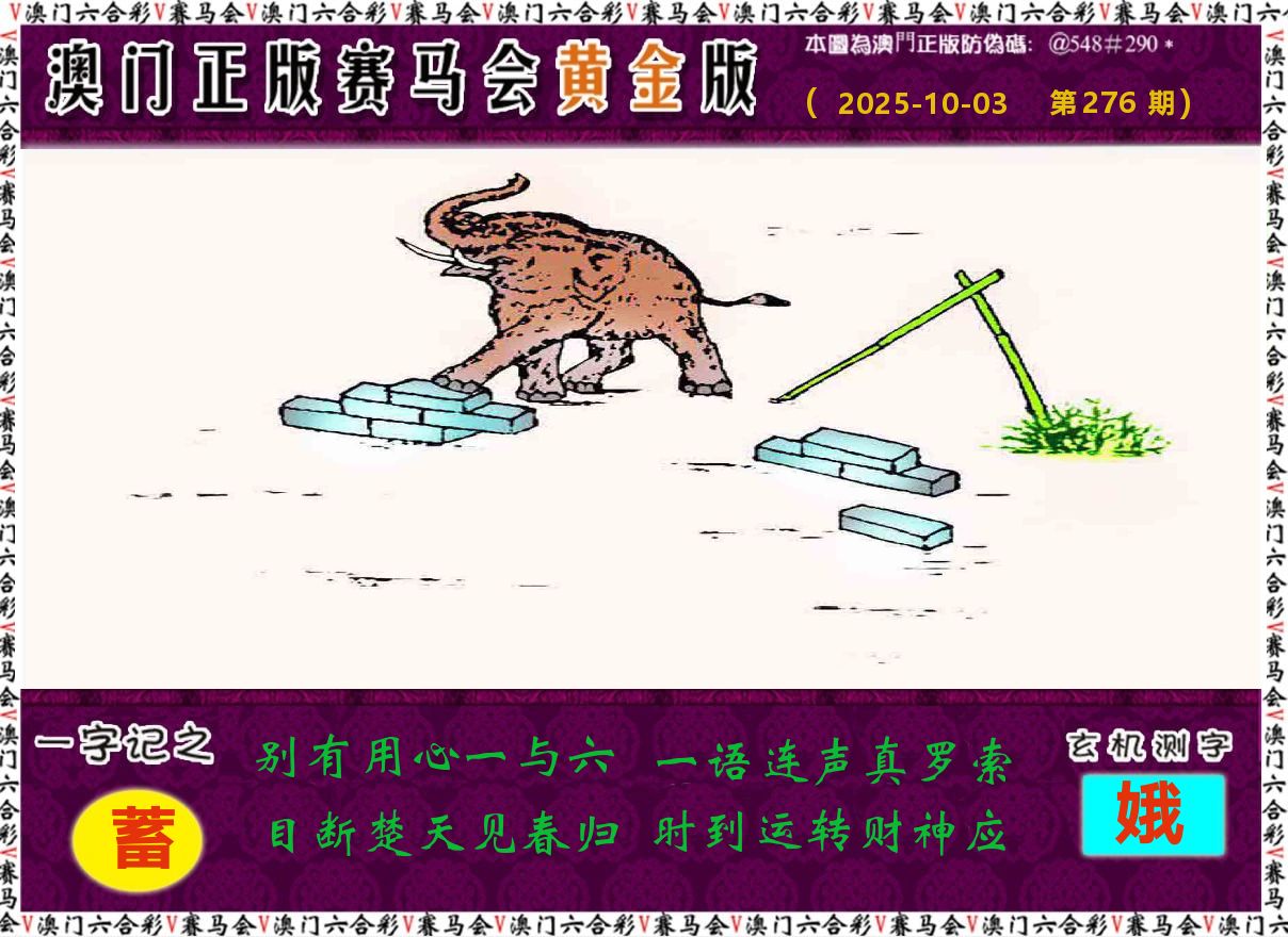 赛马会黄金版 第276期