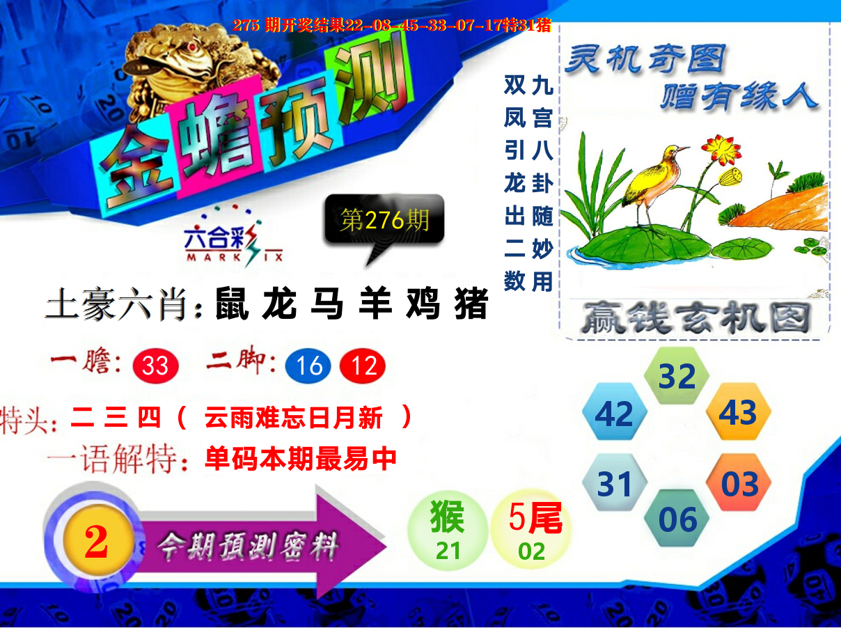 金蟾预测 第276期