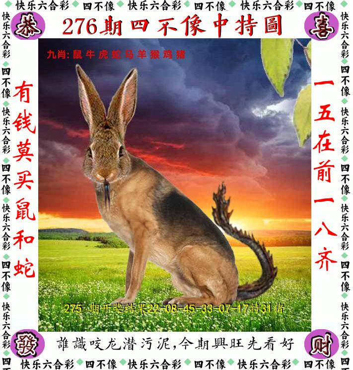 四不像 第276期