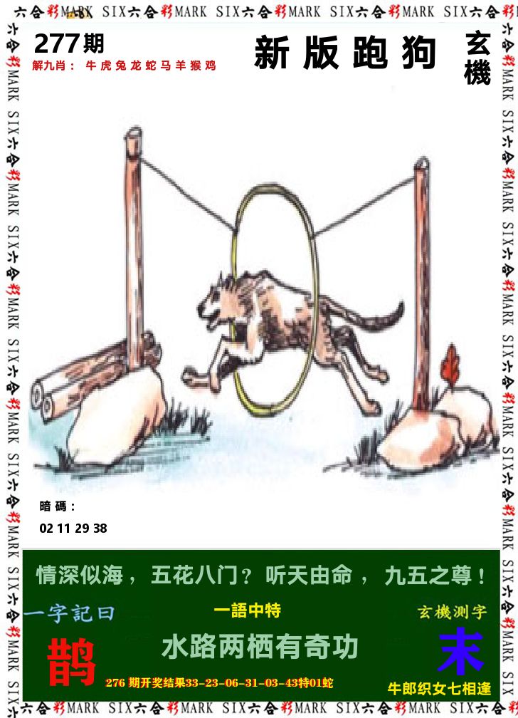 悟入其图 第277期