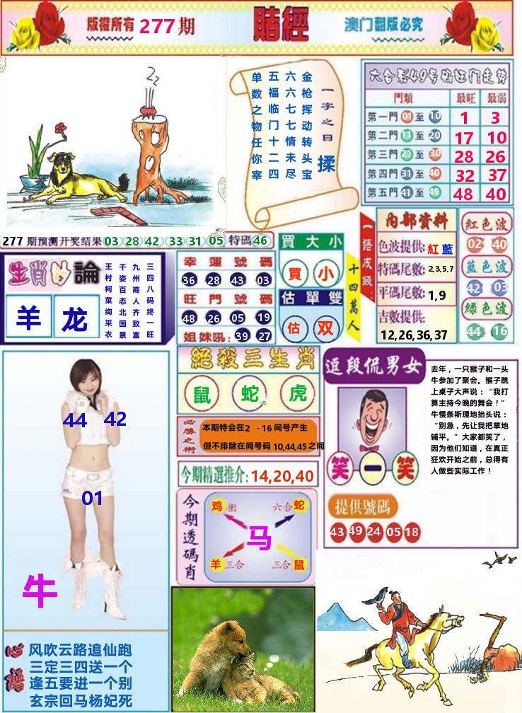 澳门赌经 第277期