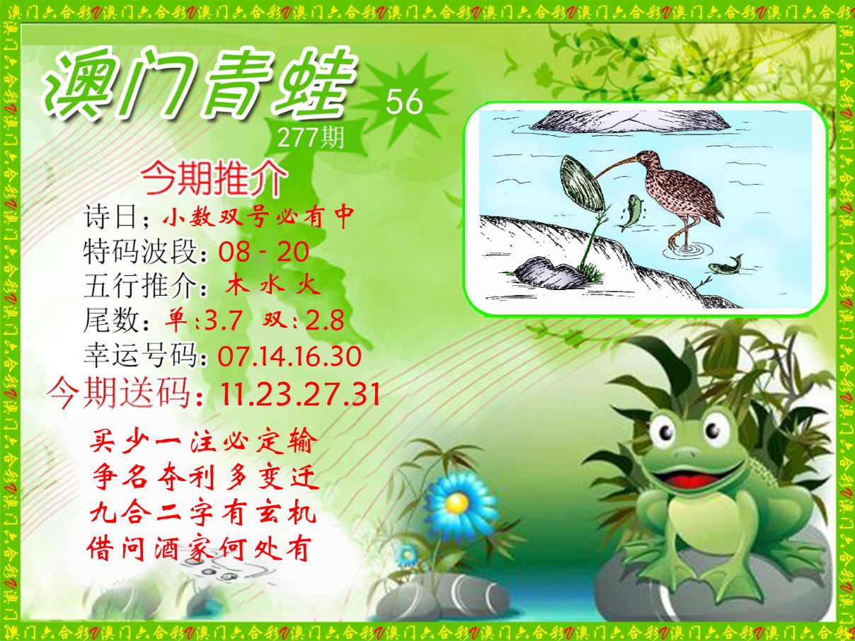 青蛙系列56 第277期