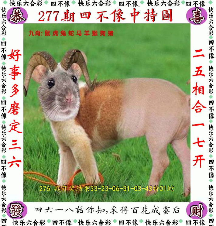四不像 第277期
