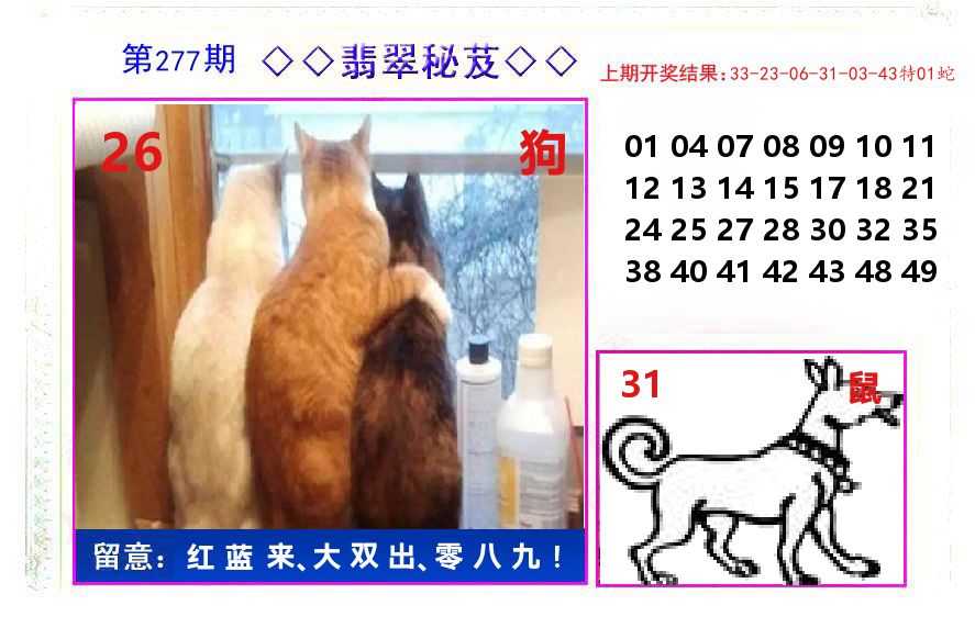 翡翠秘芨 第277期