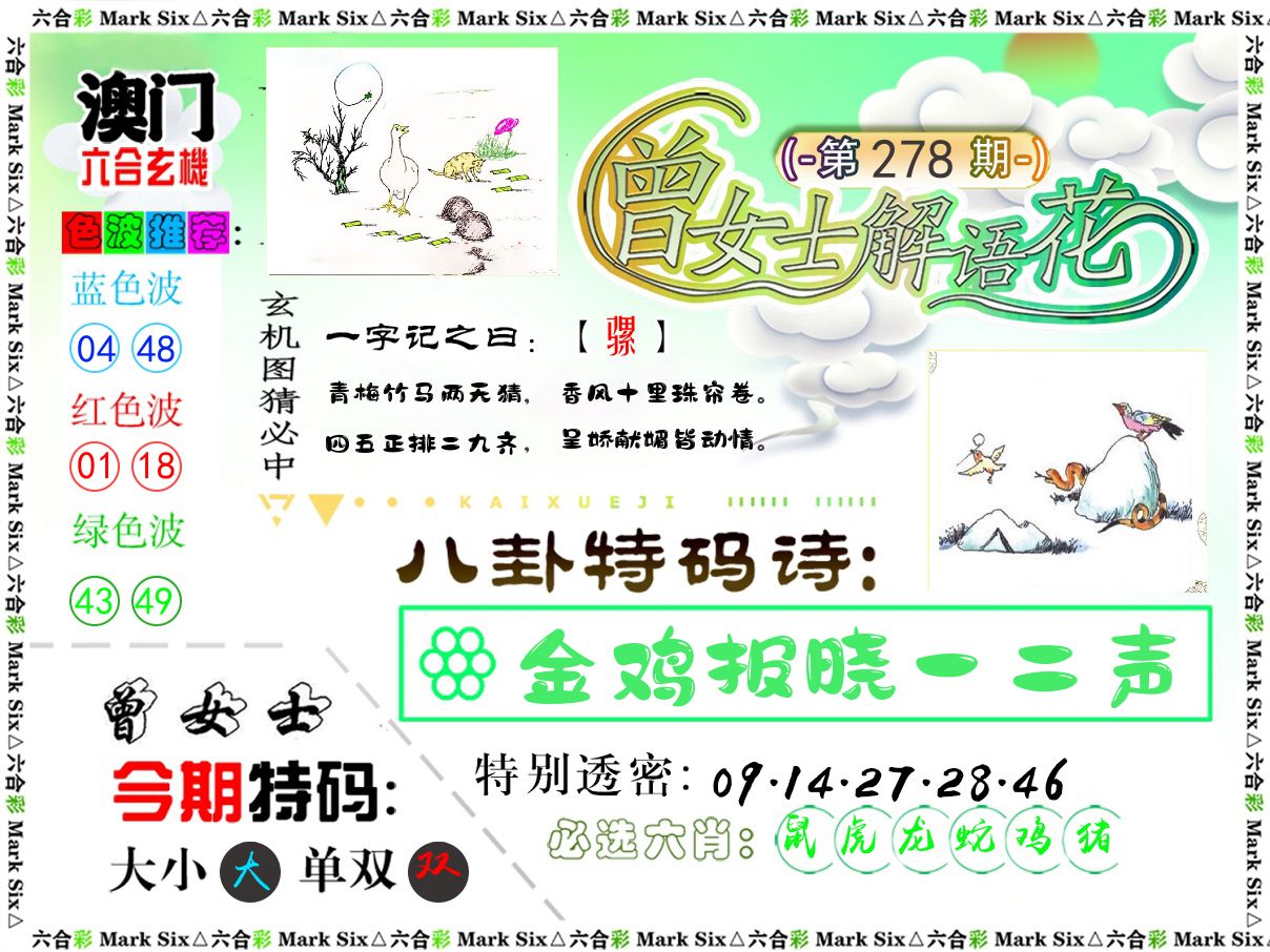 曾女士解语花 第278期