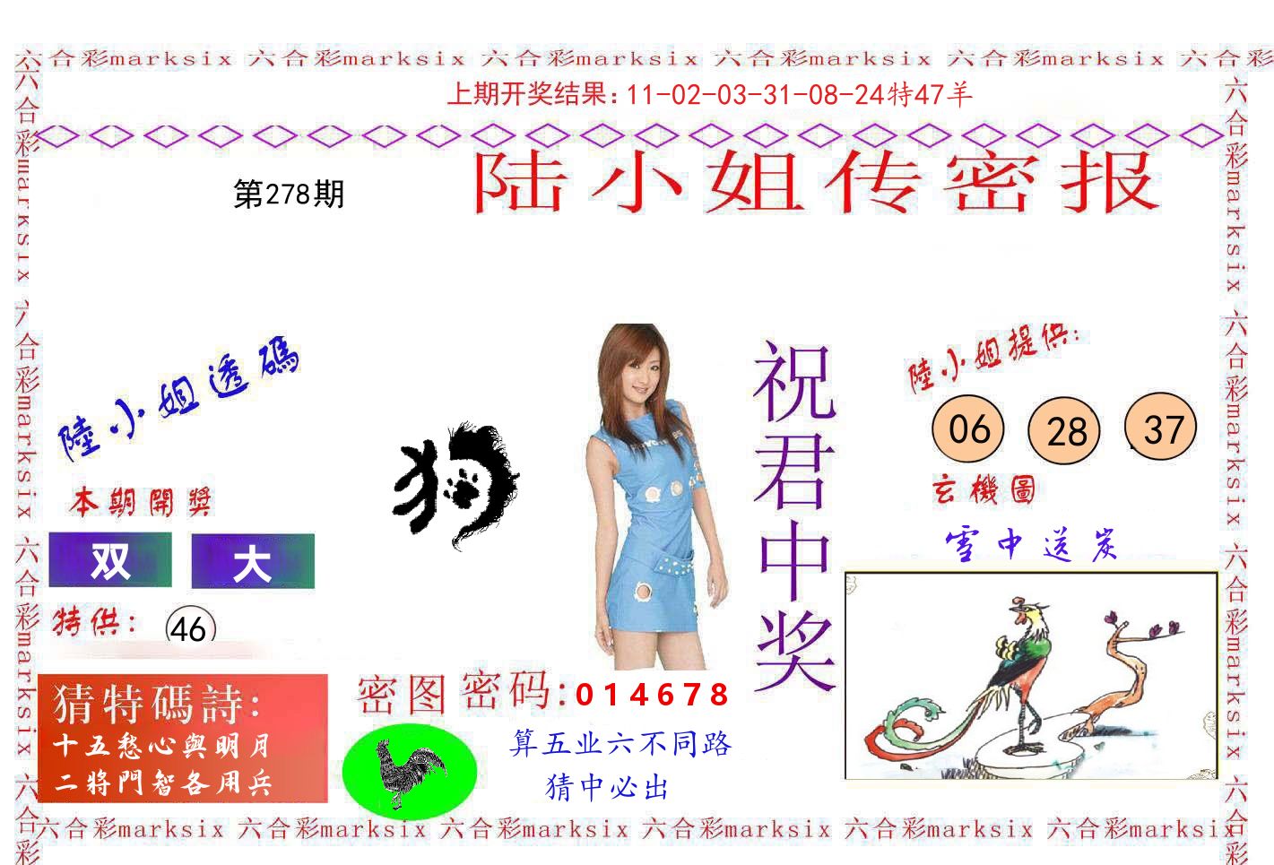 陆小姐密报 第278期