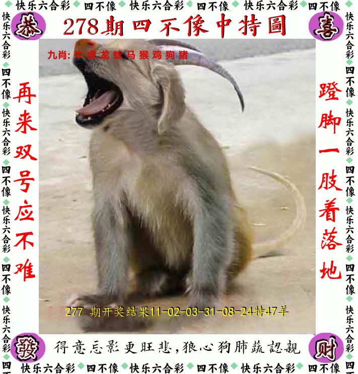 四不像 第278期