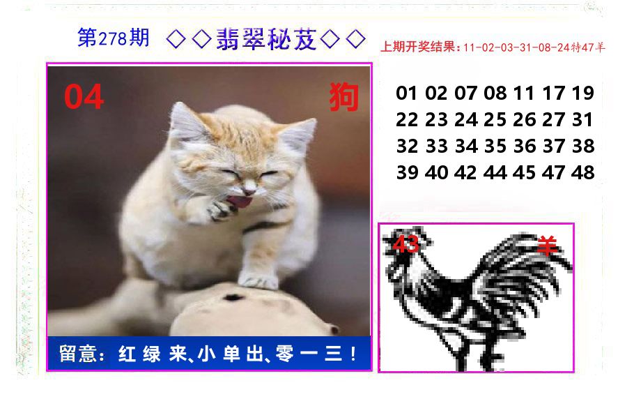 翡翠秘芨 第278期