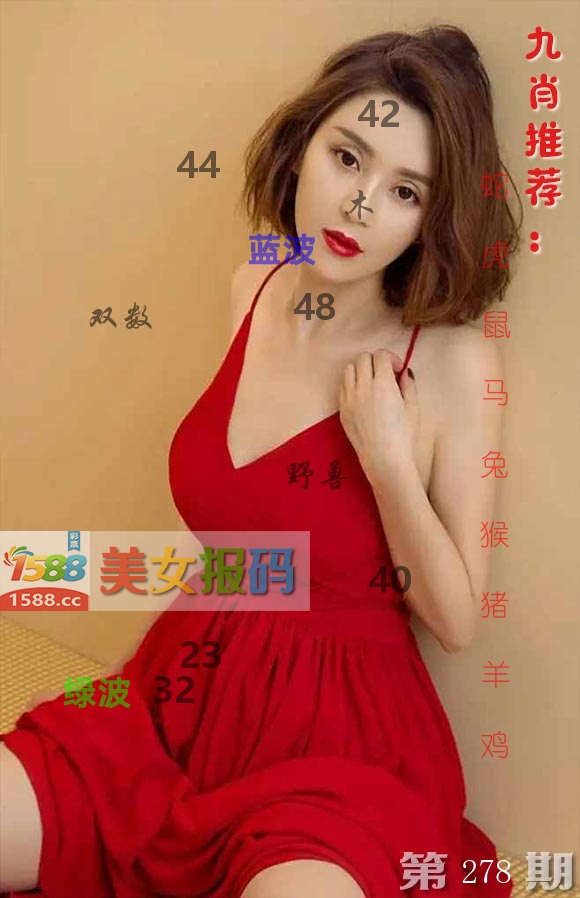 美女报码 第278期