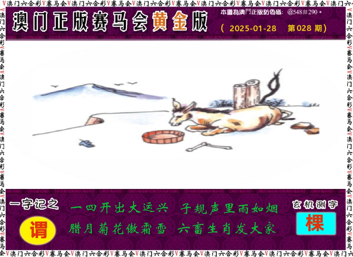 赛马会黄金版 第28期