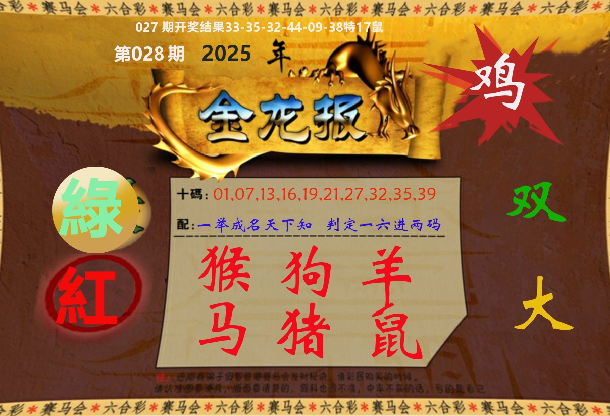 金龙报 第28期