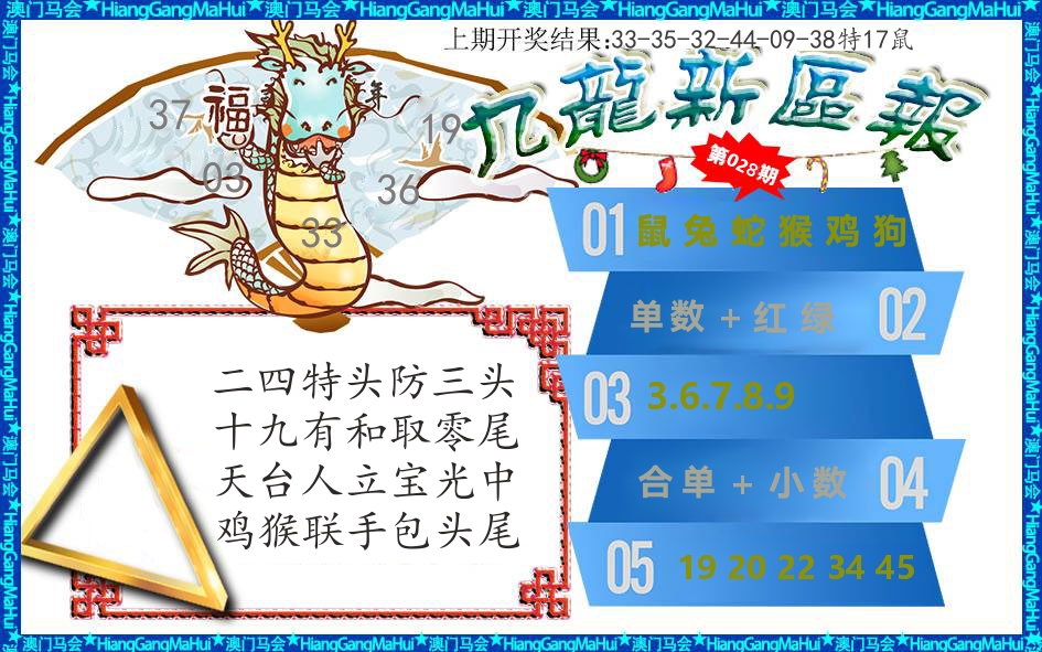 澳门新区报 第28期