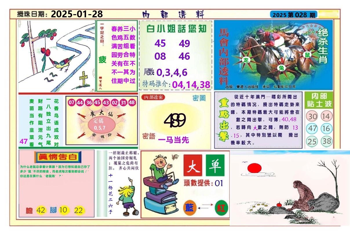 澳门内部透料A 第28期