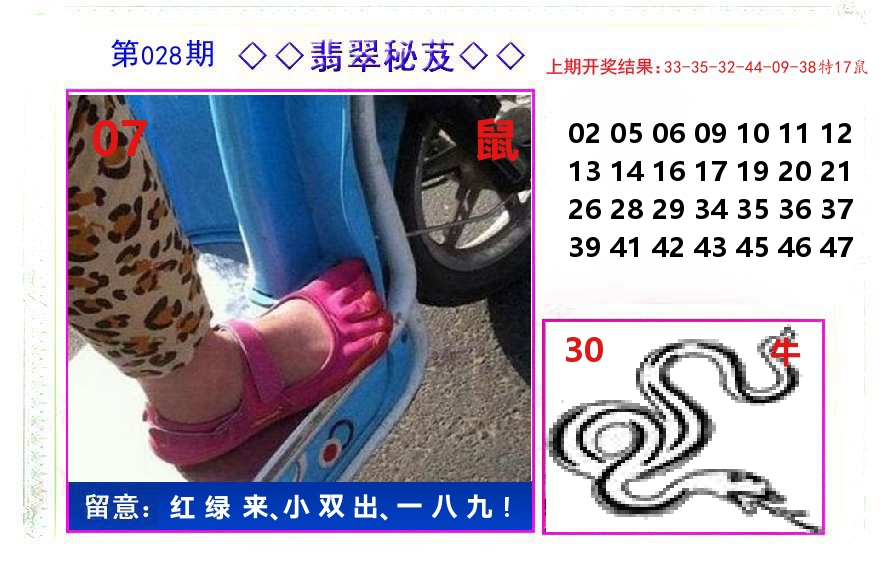 翡翠秘芨 第28期