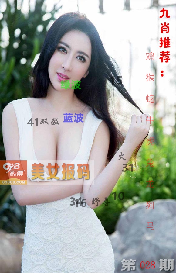 美女报码 第28期