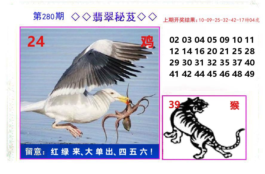 翡翠秘芨 第280期