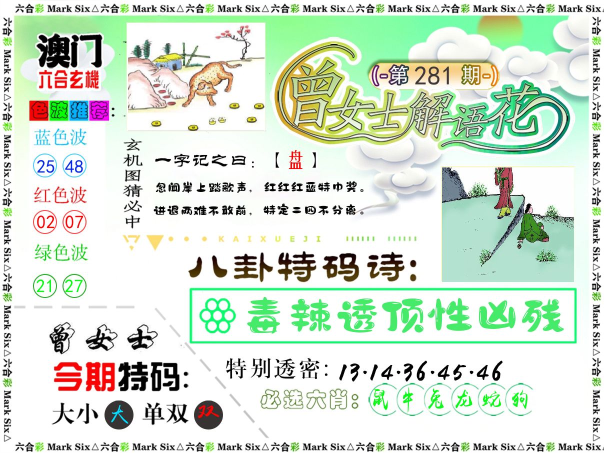 曾女士解语花 第281期