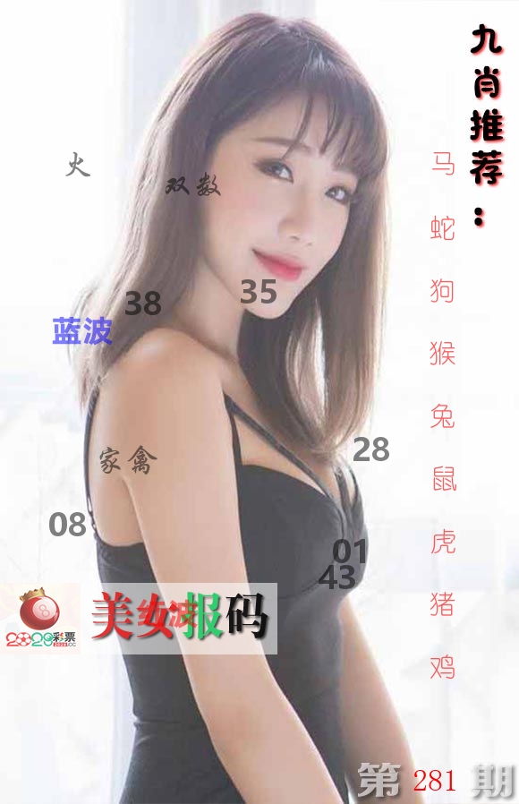 美女报码 第281期