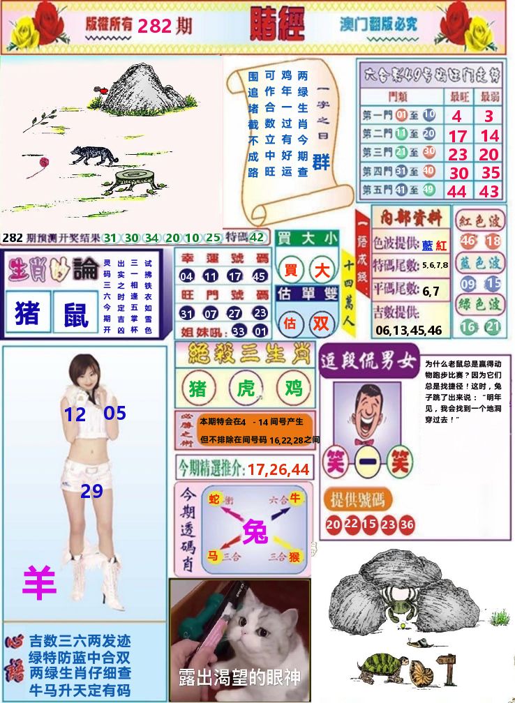 澳门赌经 第282期