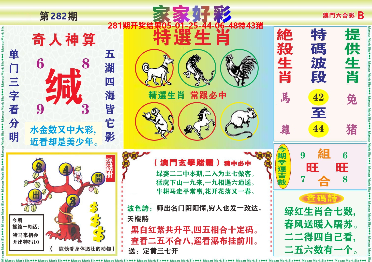 家家好彩B 第282期
