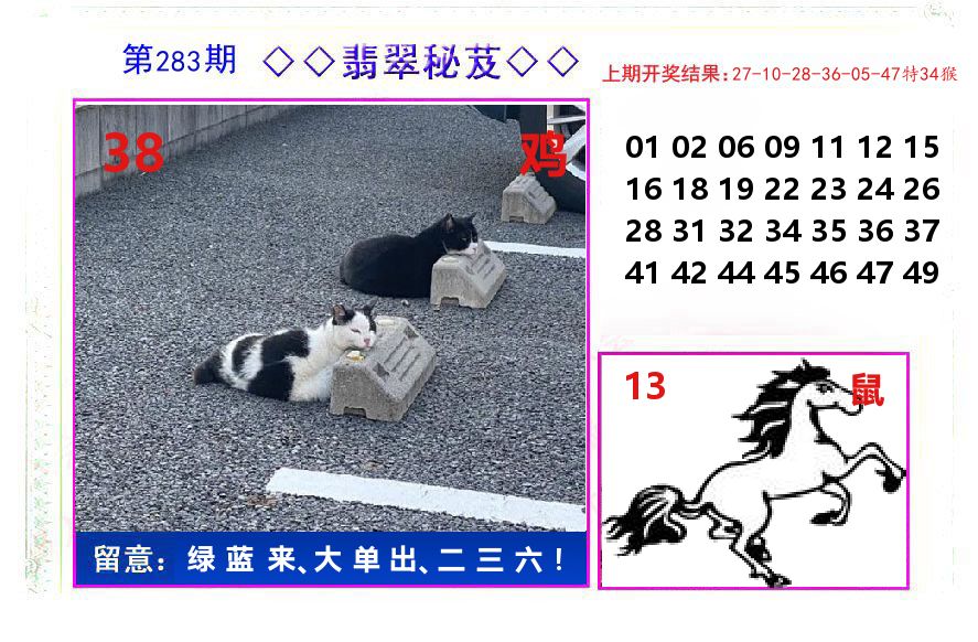 翡翠秘芨 第283期
