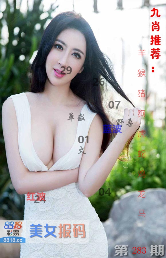 美女报码 第283期