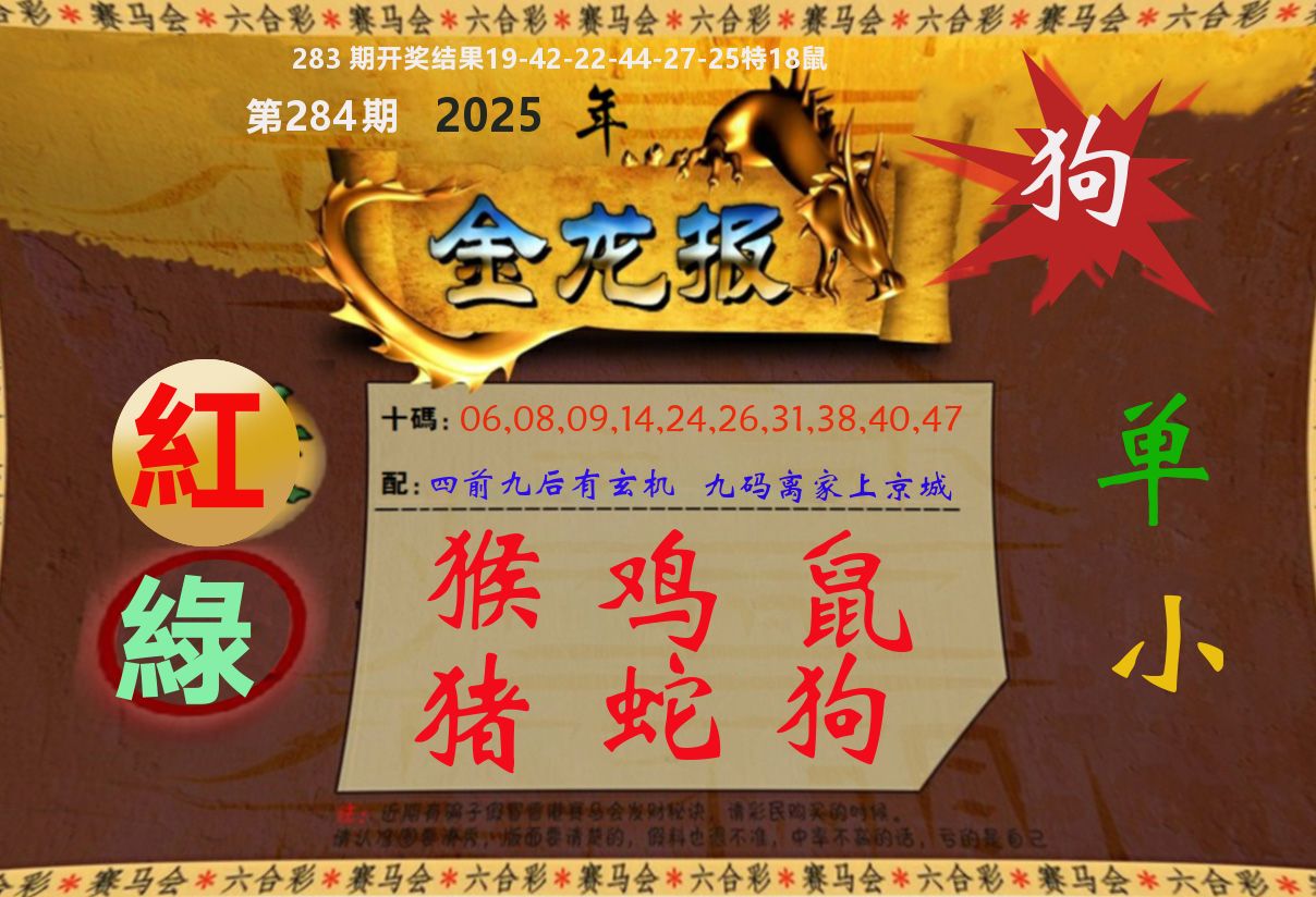 金龙报 第284期