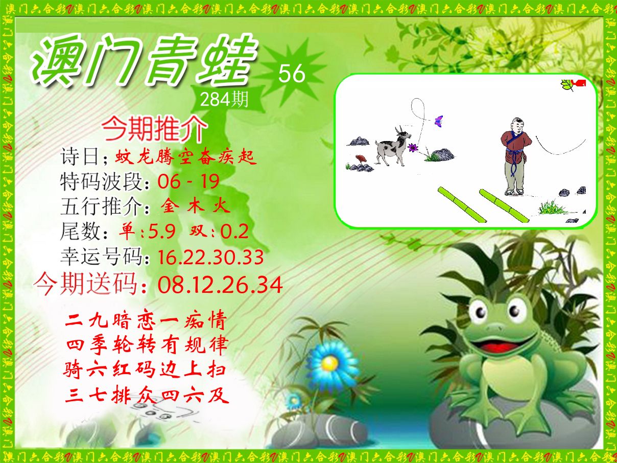 青蛙系列56 第284期