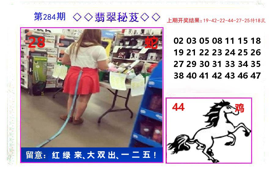 翡翠秘芨 第284期