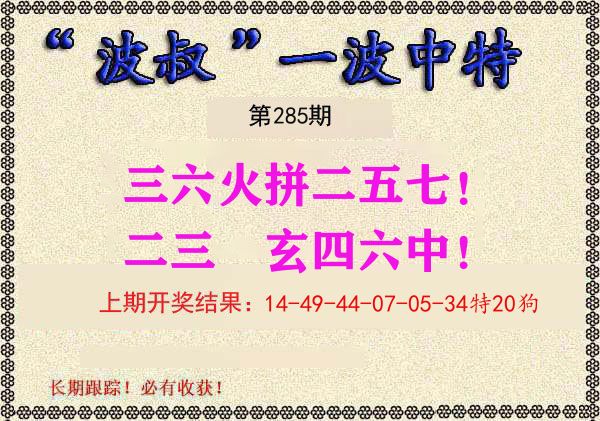 波叔中特 第285期