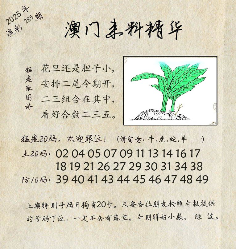 精华来料 第285期