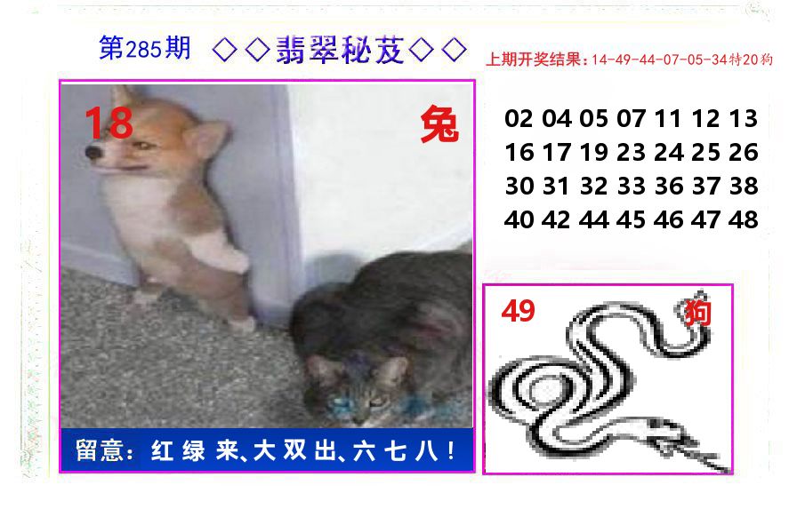 翡翠秘芨 第285期