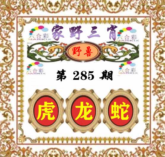 家野三肖 第285期
