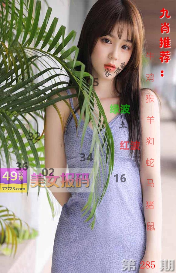 美女报码 第285期