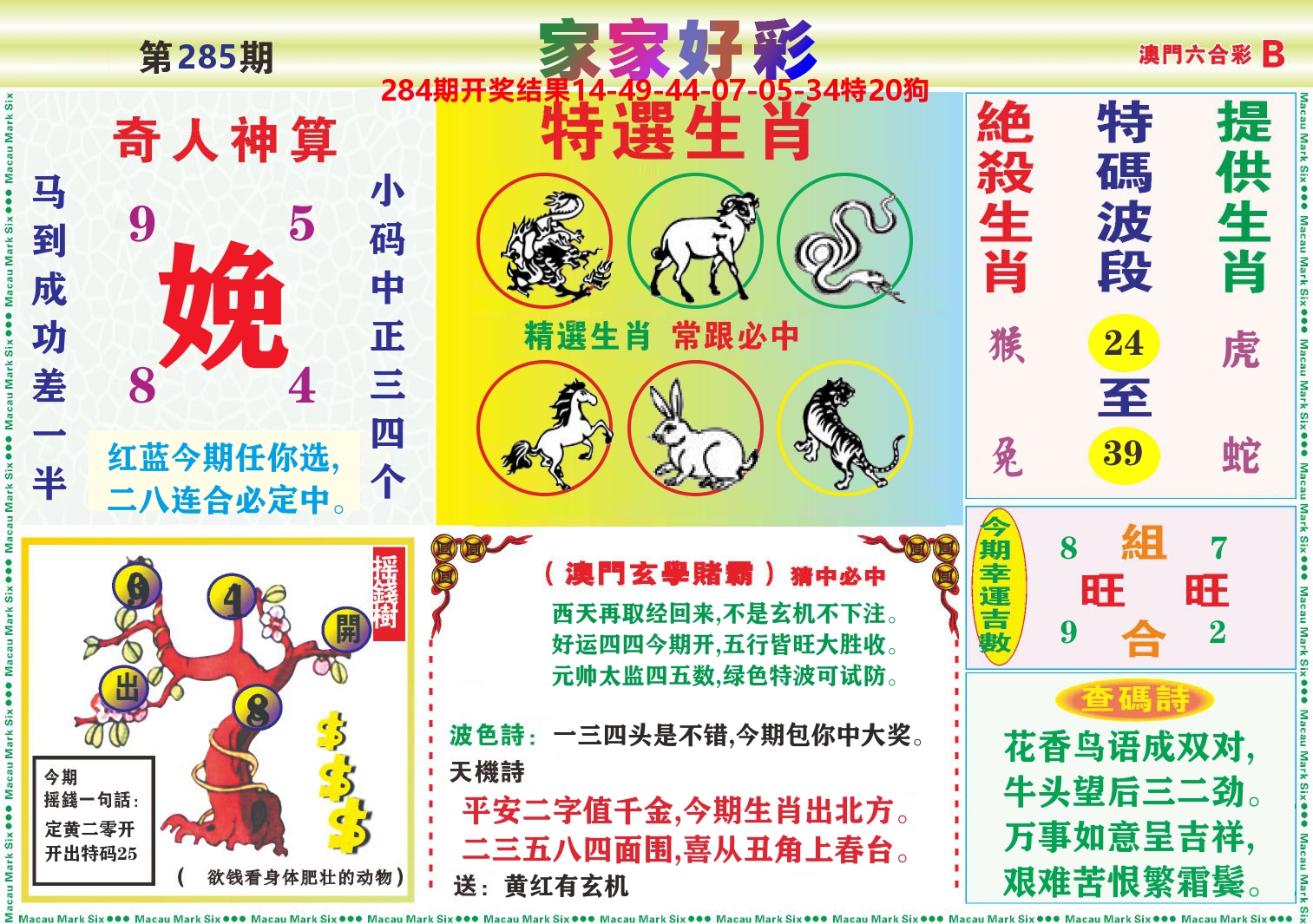 家家好彩B 第285期