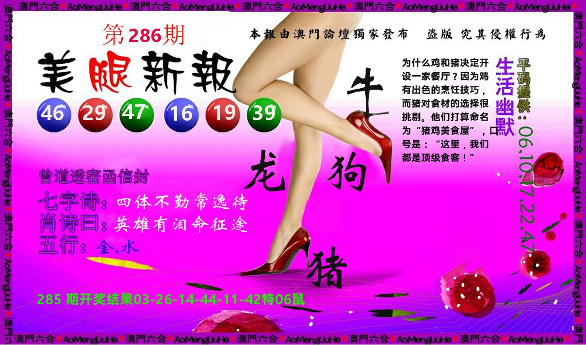 美腿新报 第286期