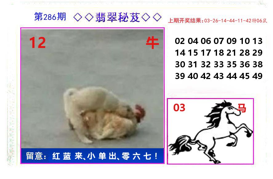 翡翠秘芨 第286期