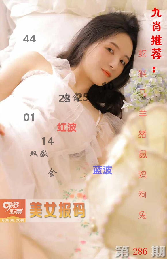 美女报码 第286期