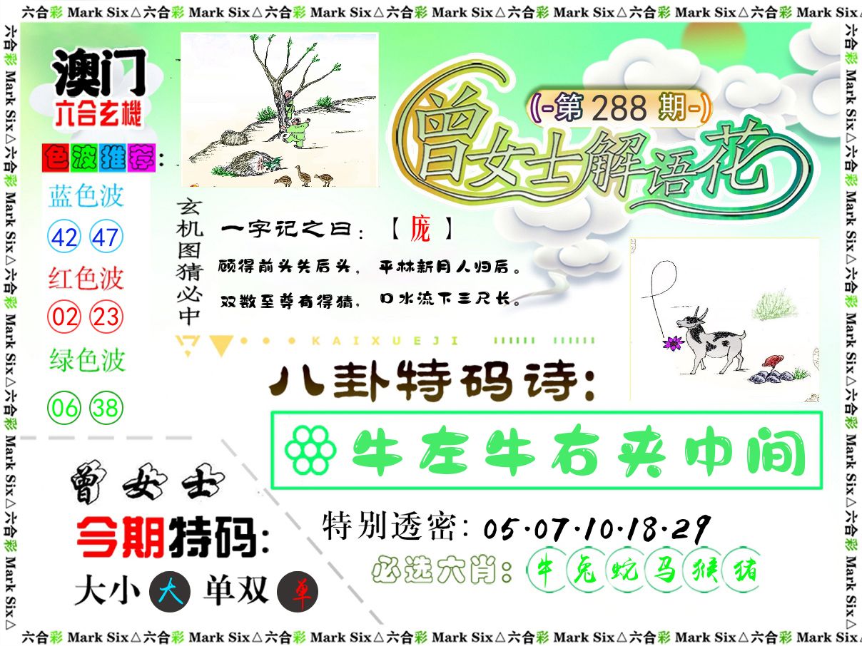 曾女士解语花 第288期