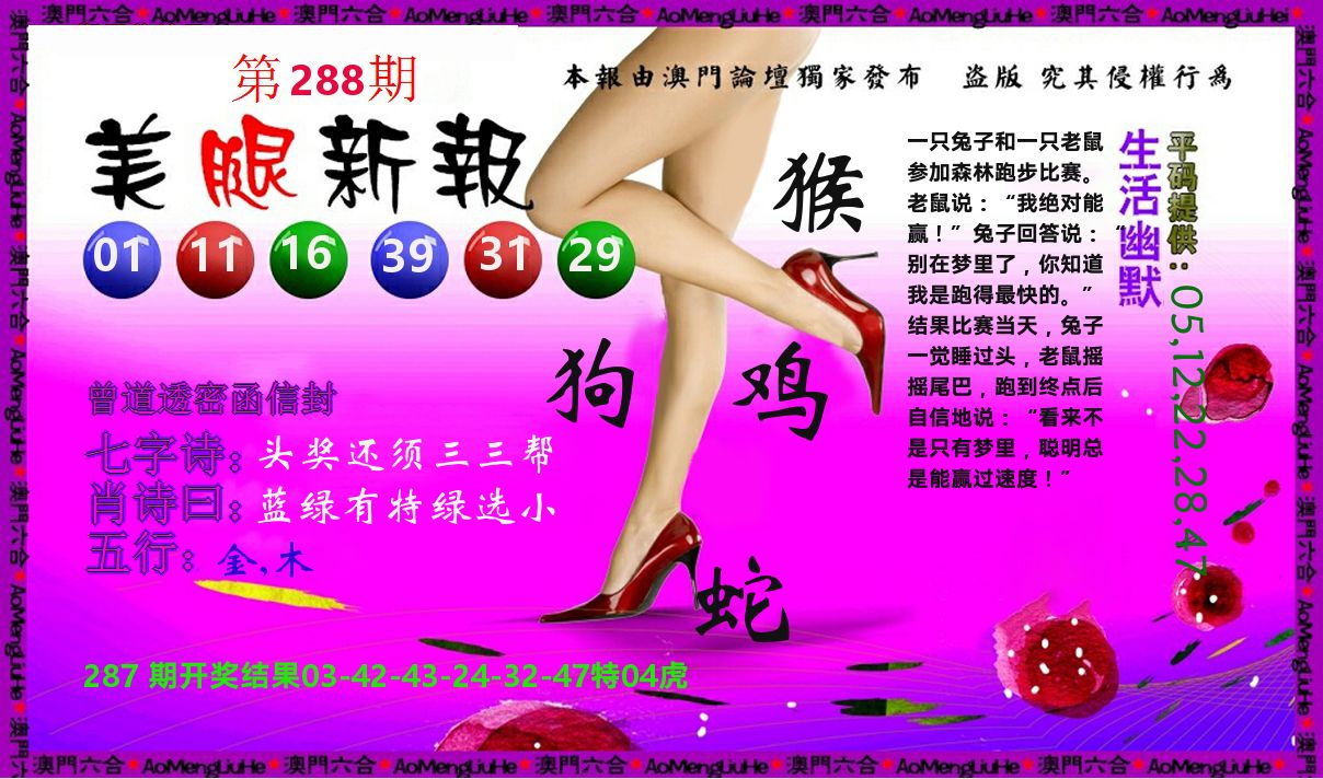 美腿新报 第288期