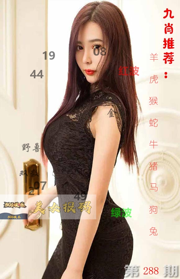美女报码 第288期