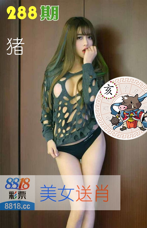 美女送肖 第288期