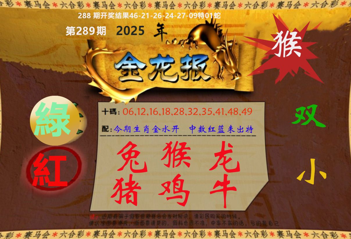 金龙报 第289期