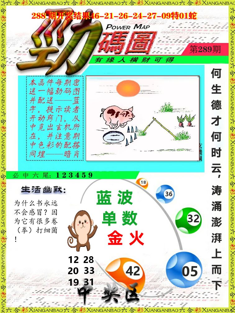 劲码图 第289期