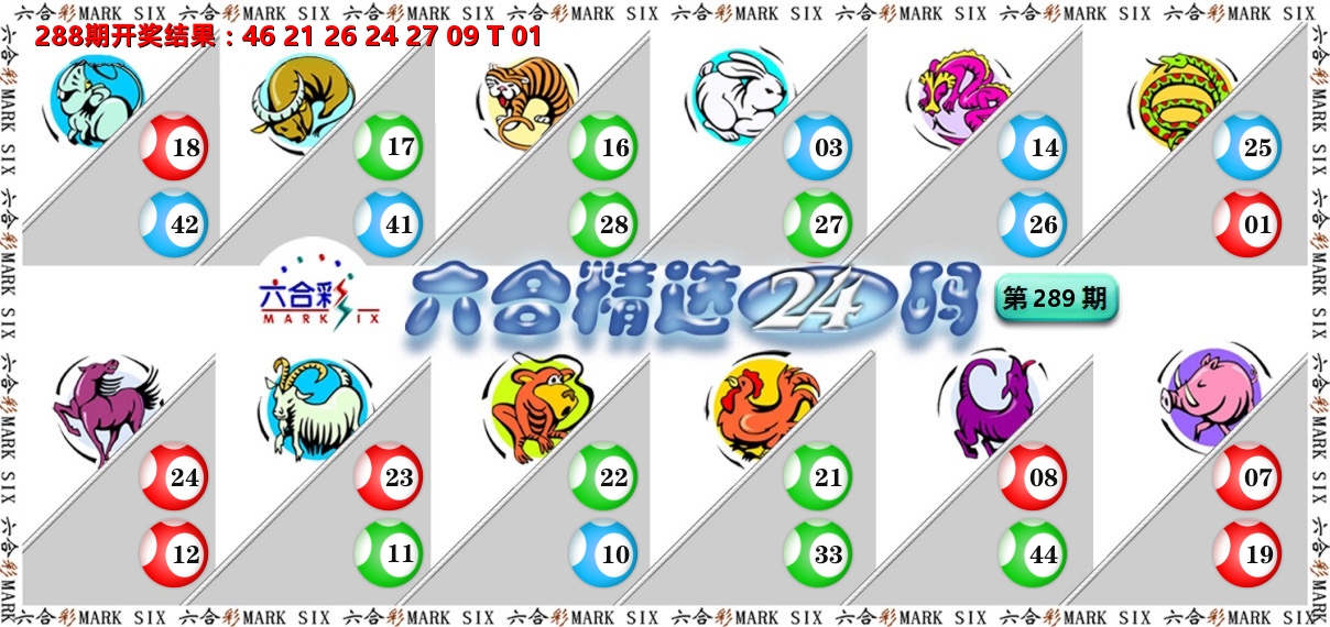六合精选24码 第289期